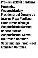 Cuadro de texto: Presidente:Ral Crdenas FernndezVicepresidenta y Presidenta del Consejo de Jvenes Plaza Martiana: Iliana Matos HidallgoVicepresidenta Carmen Cadena MecasVicepresidenta: Mirtha Fuenzalida GonzlezSecretario Ejecutivo: Israel Arencibia Gonzlez
