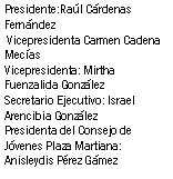 Cuadro de texto: Presidente:Ral Crdenas Fernndez Vicepresidenta Carmen Cadena MecasVicepresidenta: Mirtha Fuenzalida GonzlezSecretario Ejecutivo: Israel Arencibia GonzlezPresidenta del Consejo de Jvenes Plaza Martiana: Anisleydis Prez Gmez