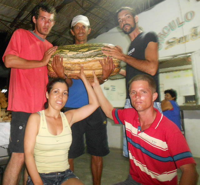Último lugar de la provincia más grande de Cuba, han caminado jornadas de 40km diarios, en sus manos una calabaza de grandes proporciones. Último lugar de la provincia más grande de Cuba, han caminado jornadas de 40km diarios, en sus manos una calabaza de grandes proporciones.