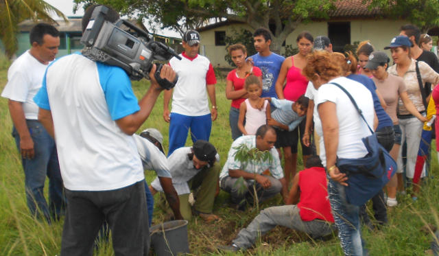 Siembran la ceiba número 42, la prensa hace la cobertura. Siembran la ceiba número 42, la prensa hace la cobertura.