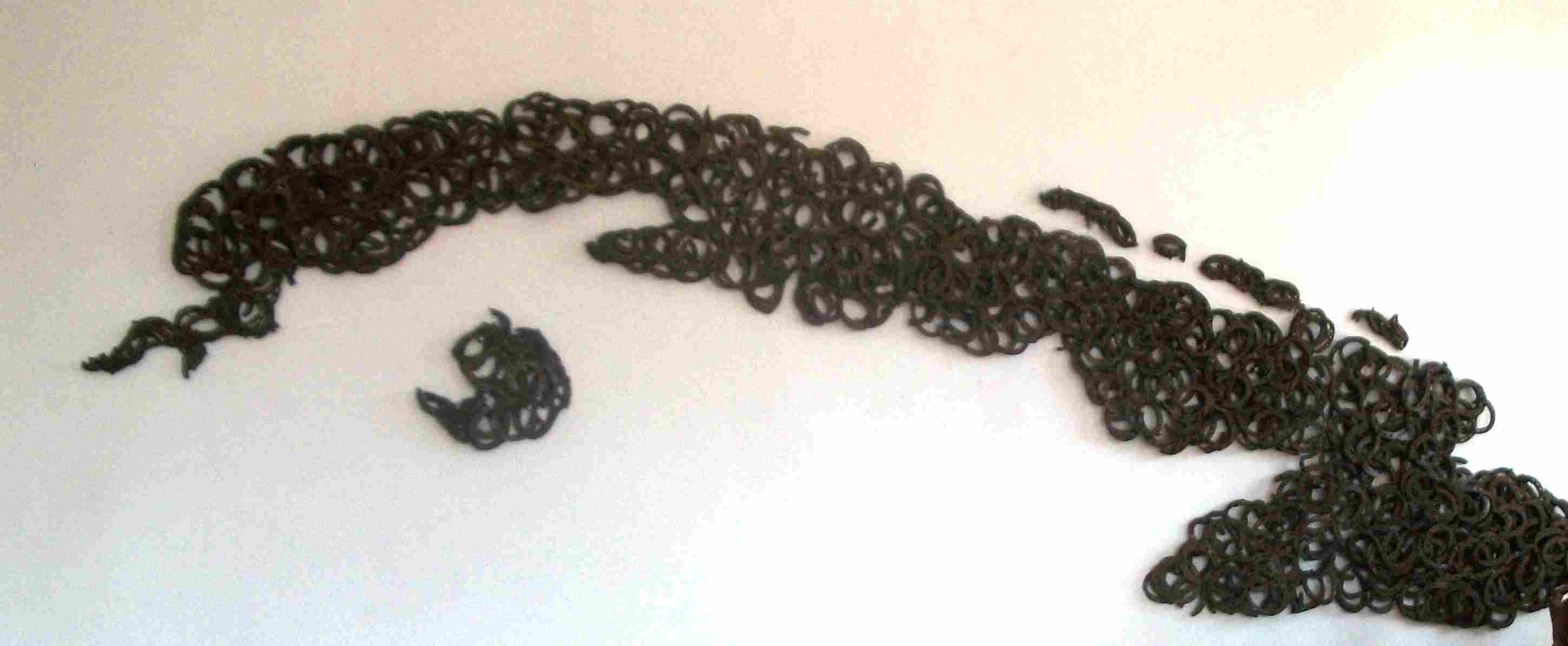 Obra Qvalgando